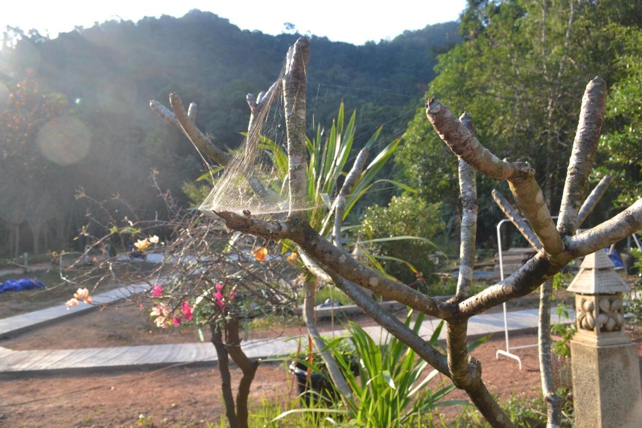 Homebar Koh Chang Luaran gambar