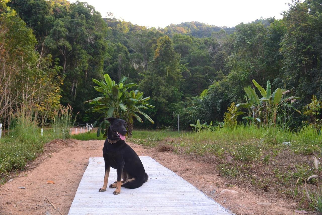 Homebar Koh Chang Luaran gambar