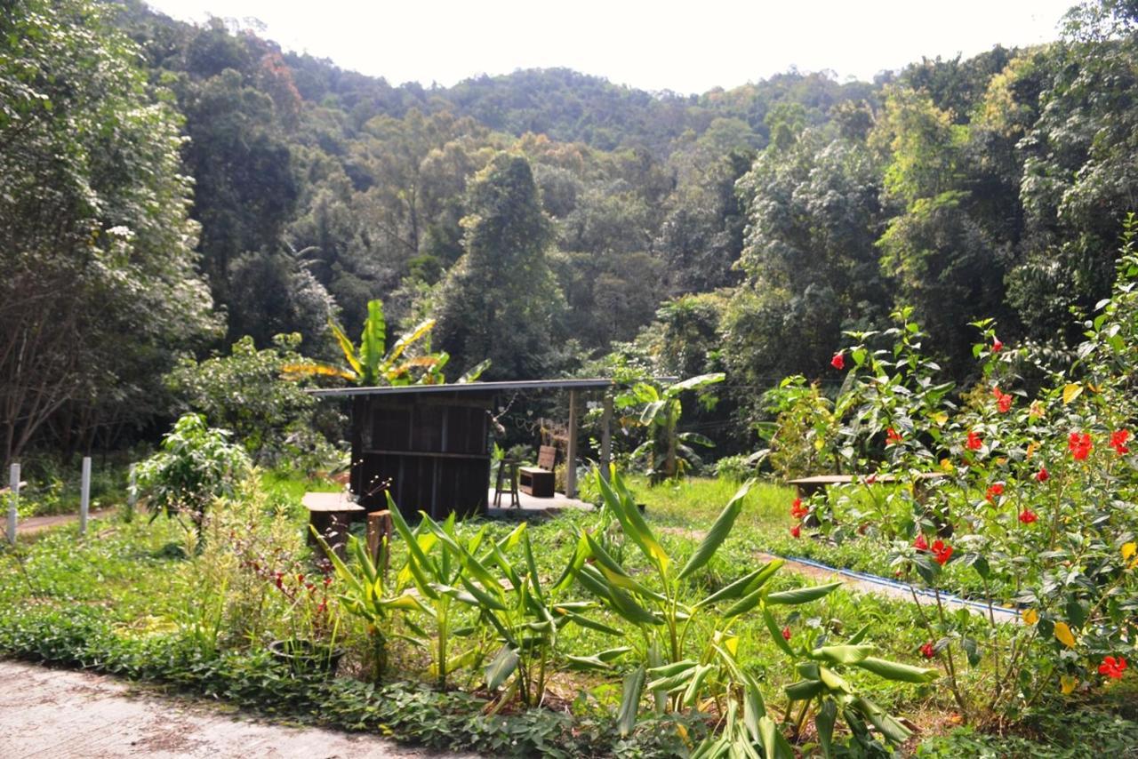 Homebar Koh Chang Luaran gambar